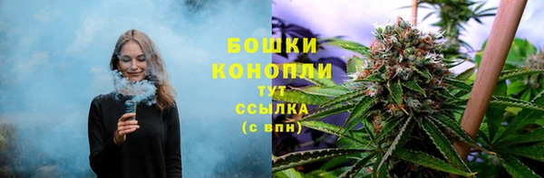 трава Нягань